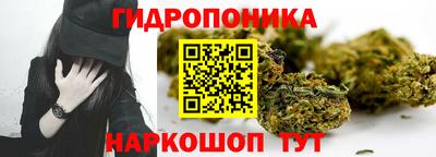 марихуана Гусиноозёрск