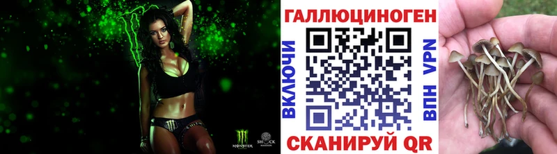 Псилоцибиновые грибы мухоморы цены Миасс