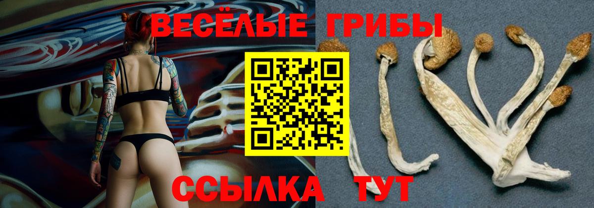 Псилоцибиновые грибы прущие грибы  Псилоцибиновые грибы Psilocybine cubensis  Миасс  Вход с VPN 